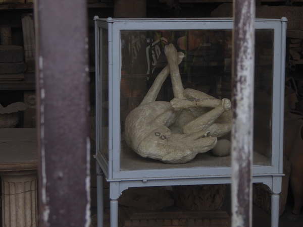 Cast of a dog that died